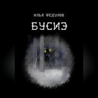 Илья Юрьевич Федулов. Бусиэ