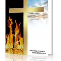 Александр Белошапка. Путь домой