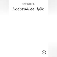 Евгения Кузнецова. Новогоднее Чудо.