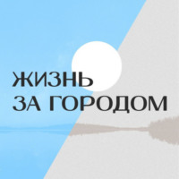 collection_art