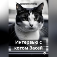 . Интервью с котом Васей