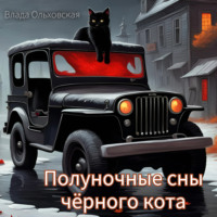 . Полуночные сны чёрного кота