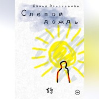 Давид Эльстерман. Слепой дождь