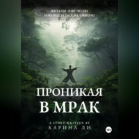 Карина Ли. Проникая в мрак