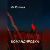 Ия Котова. Командировка