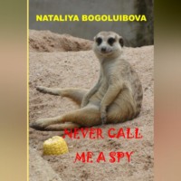 . Never call me a spy