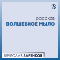 Вячеслав Заренков. Волшебное мыло