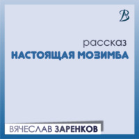 Вячеслав Заренков. Настоящая Мозимба
