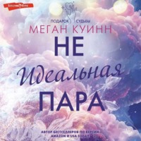 Меган Куинн. Неидеальная пара
