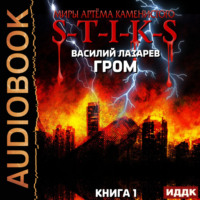 . S-T-I-K-S. Гром. Книга 1