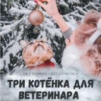 Екатерина Серебрякова. Три котёнка для ветеринара