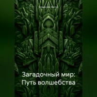 Владислав Звягин. Загадочный мир: Путь волшебства