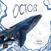 Кейт Сойер. Остов