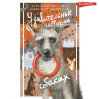 . Удивительные истории о собаках