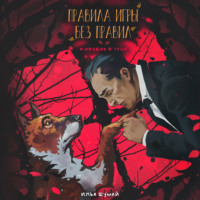 Илья Александрович Шумей. Правила игры без правил