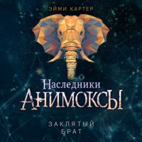 Эйми Картер. Заклятый брат
