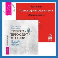. Трансерфинг реальности. Обратная связь. Часть 1. Тревога приходит и уходит: 52 способа обрести душевное спокойствие