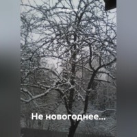 Олег Васильевич Фролов. Не новогоднее…