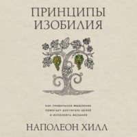 . Принципы изобилия. Как правильное мышление помогает достигать целей и исполнять желания