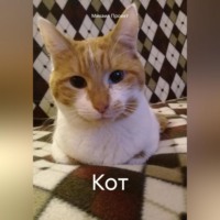 Михаил Львович Проект. Кот