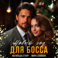 . Новый год для босса