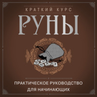 Алексей Раевский. Руны. Практическое руководство для начинающих