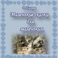 Владимир Александрович Косарев. Маленькие сказки для маленьких