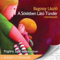 Bagossy L?szl?. A s?t?tben l?t? t?nd?r (Unabridged)