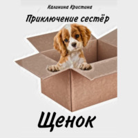 Кристина Калинина. Приключение сестер. Щенок