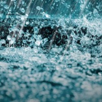 Борис Торбин. Ливень