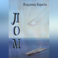 Владимир Юрьевич Карасев. ЛОМ