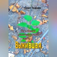 . По следам авантюристки. Часть 1. Выжившая