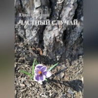 Юрий Слепухин. Частный случай