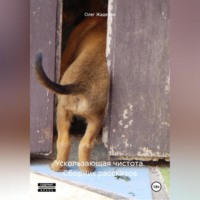 Олег Жаденов. Ускользающая чистота. Сборник ранних рассказов