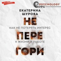 Екатерина Шурова. Не перегори. Как не потерять интерес к жизни и работе