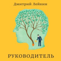 Дмитрий Лейкин. Руководитель
