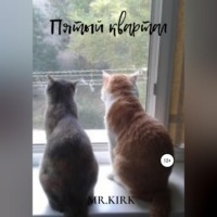 Mr.KIRK. Пятый квартал