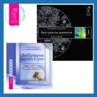 . Поддержание порядка в душе: практическое руководство по достижению эмоционального комфорта. Трансерфинг реальности. Ступень I