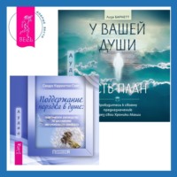 . Поддержание порядка в душе: практическое руководство по достижению эмоционального комфорта + У вашей души есть план. Хроники Акаши