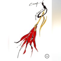 Carinetta. Rhodophiala