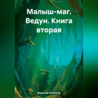 Владимир Поселягин. Малыш-маг. Ведун. Книга вторая