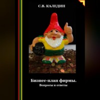 Сергей Каледин. Бизнес-план фирмы. Вопросы и ответы