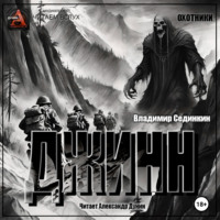 Владимир Александрович Сединкин. Джинн