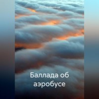 Дмитрий Кашканов. Баллада об аэробусе