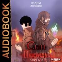 Вадим Оришин. Сын Палача. Книга 3