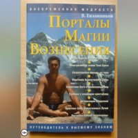 Владимир Александрович Евланников. Порталы магии вознесения