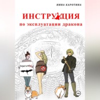 Нина Каротина. Инструкция по эксплуатации дракона