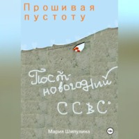 . Прошивая пустоту. Постновогодний ССВС