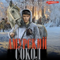 Рамзан Саматов. Амурский сокол