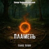 Захар Чернобыльский. Сталкер. Истории. Пламень